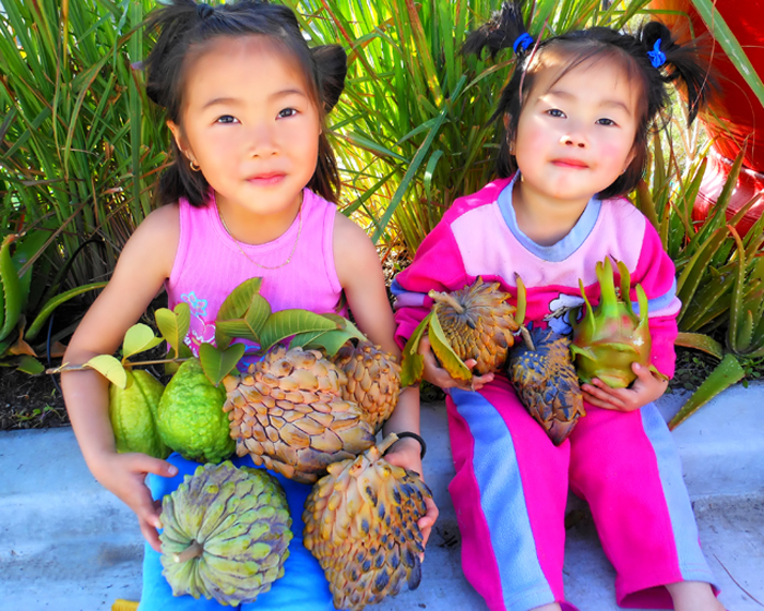 san diego tropical fruit nursery