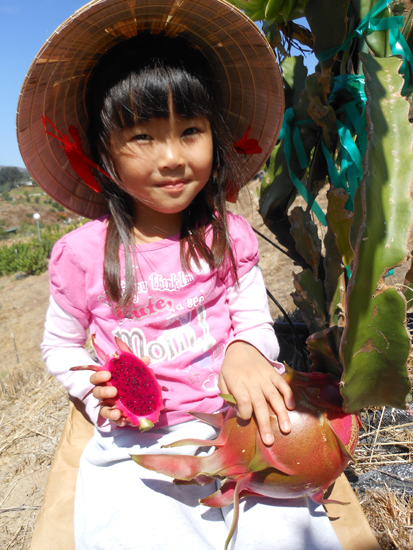 san diego tropical fruit nursery