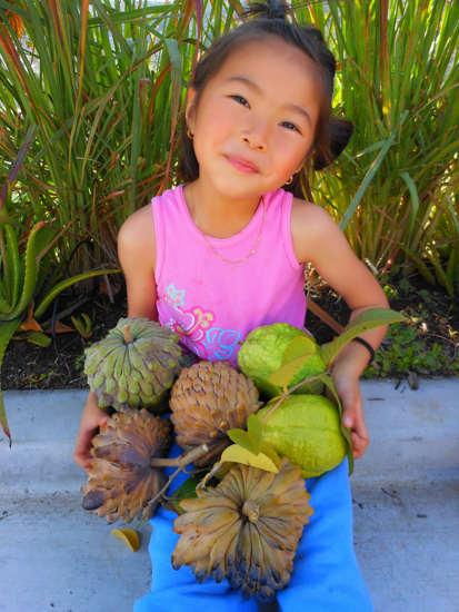 san diego tropical fruit nursery